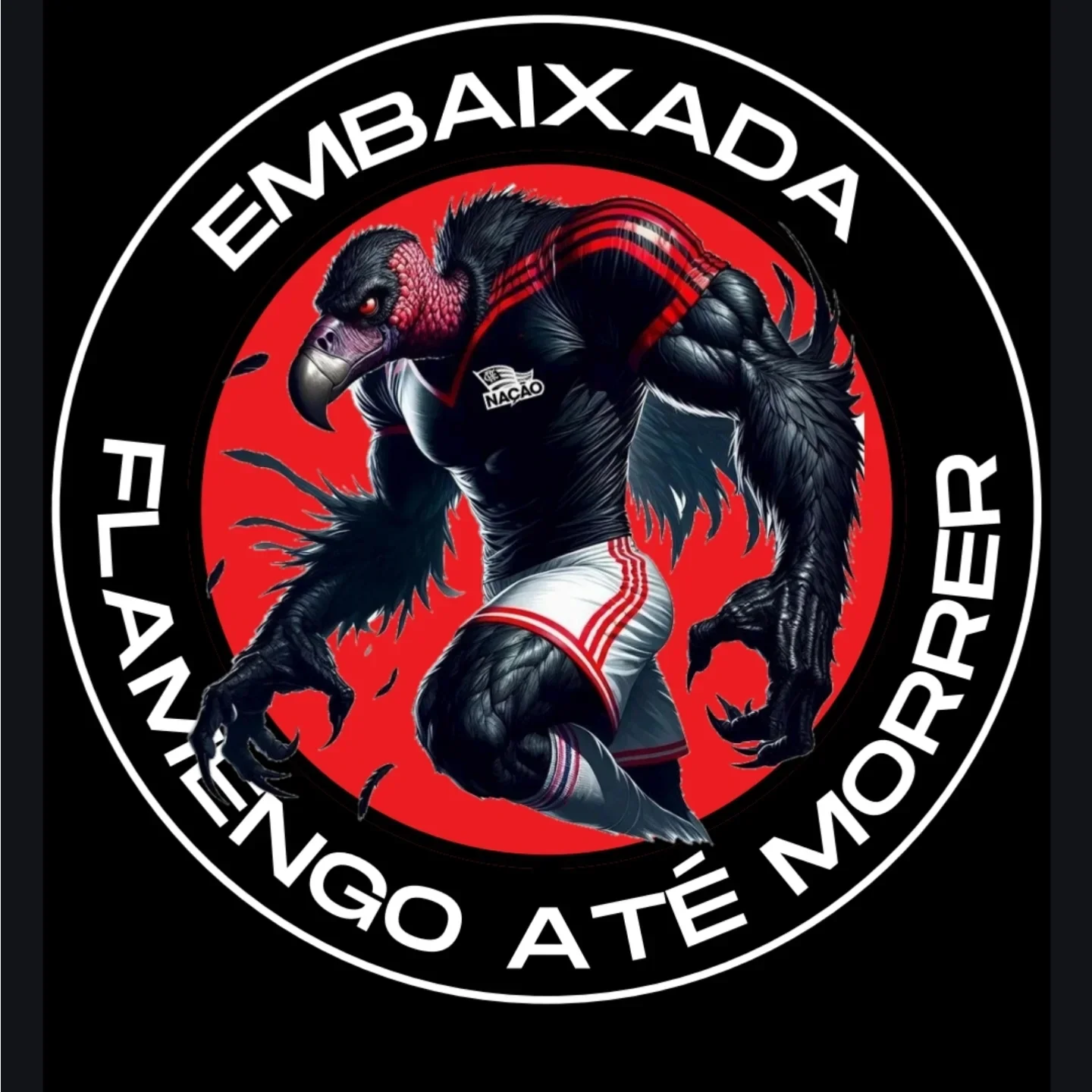 Embaixada Flamengo Até Morrer